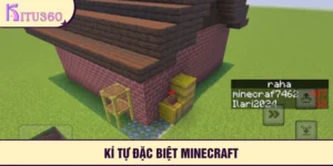 Ki Tu Dac Biet Minecraft